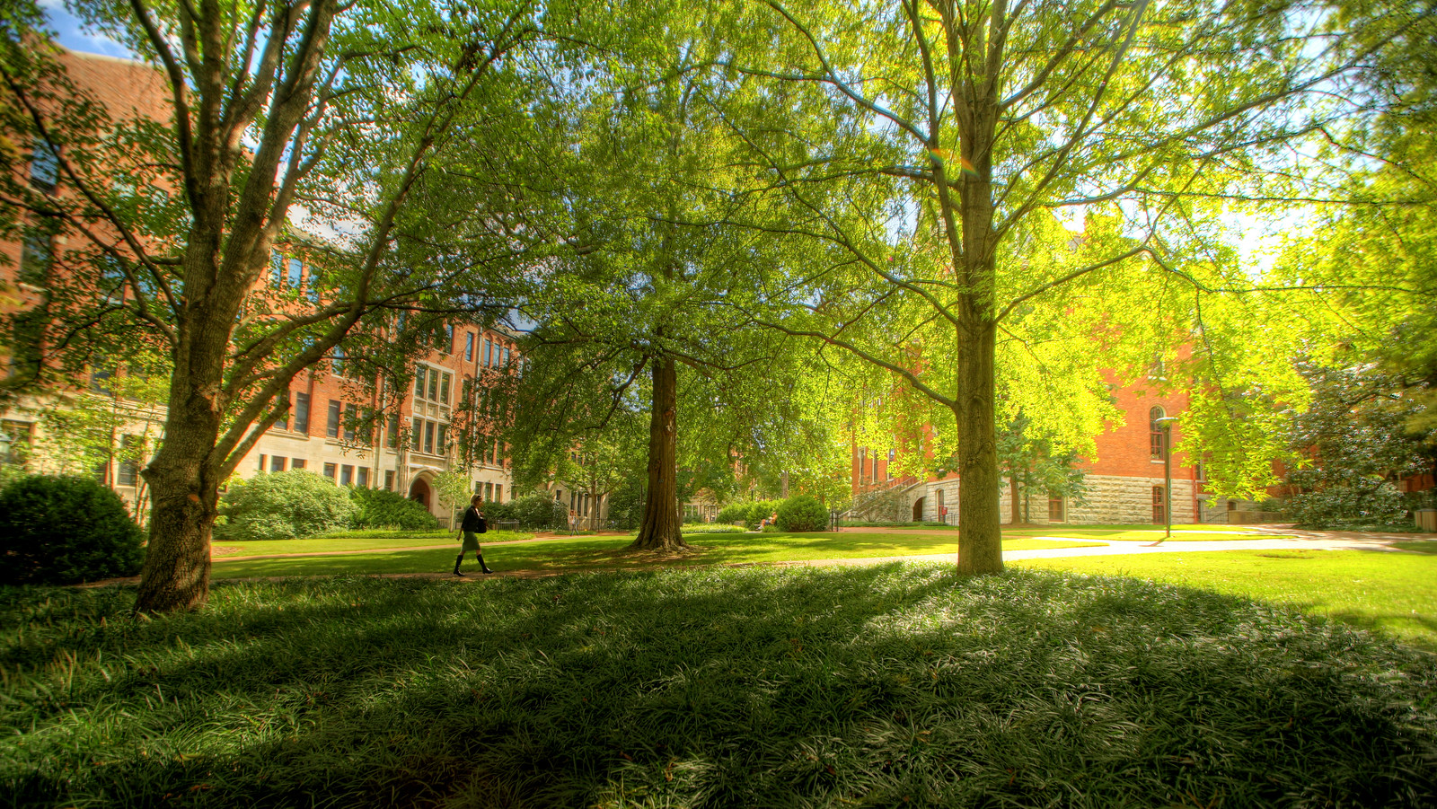 Vanderbilt University