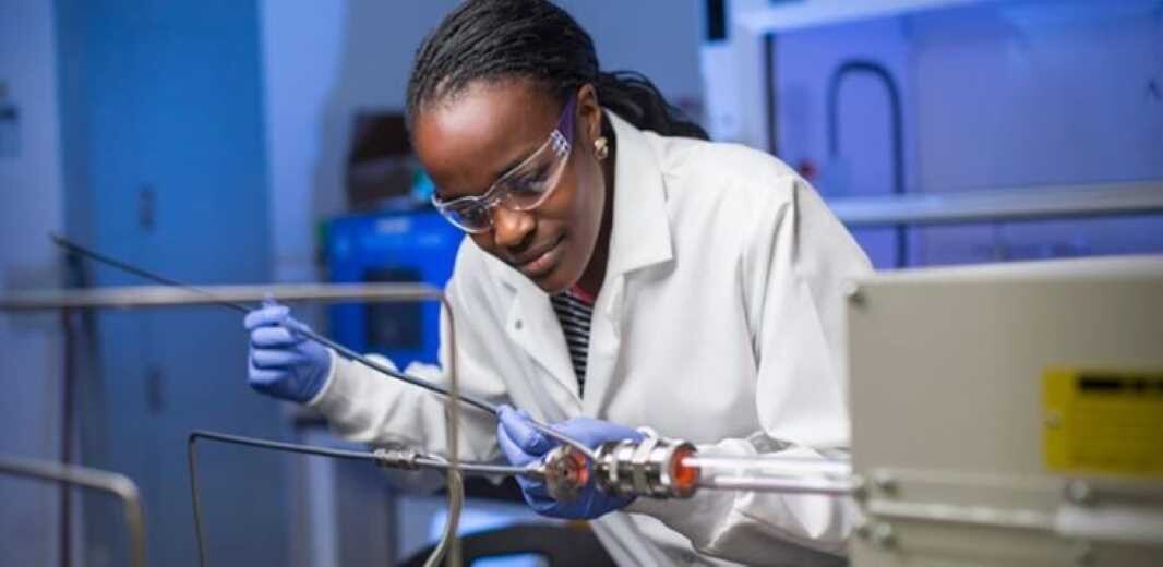 Interdisciplinary Materials Science