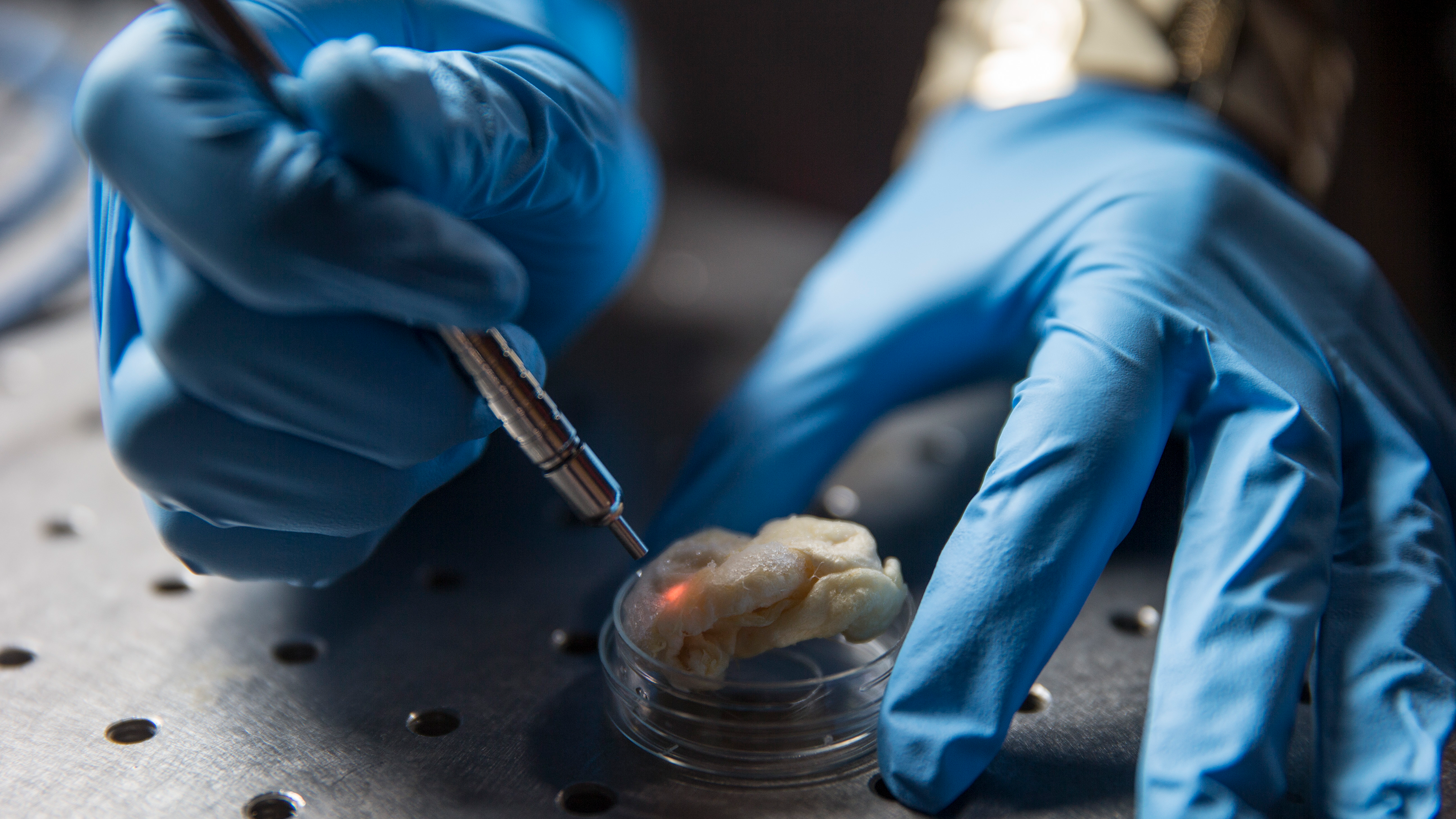 Biomedical Engineering