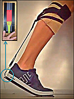 Vanderbilt University