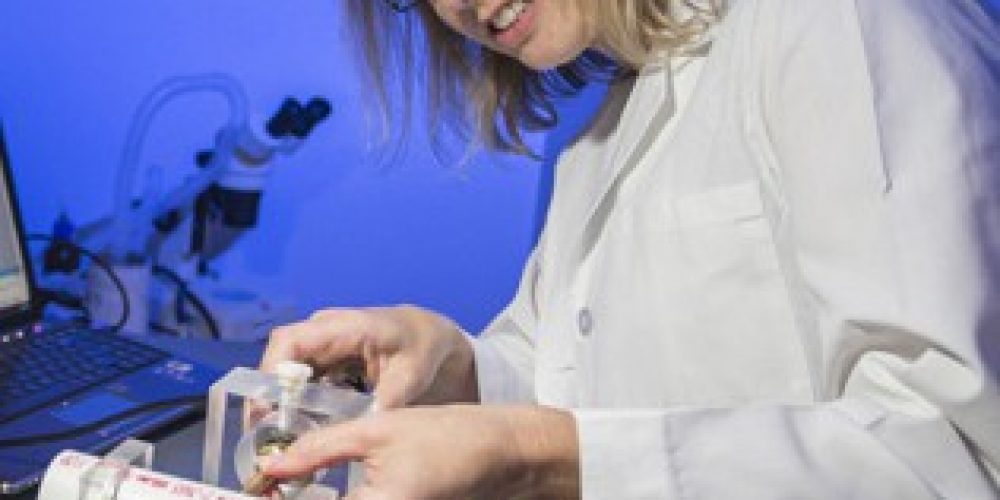 Grant Spurs Research Into Trauma-Induced Vision Loss