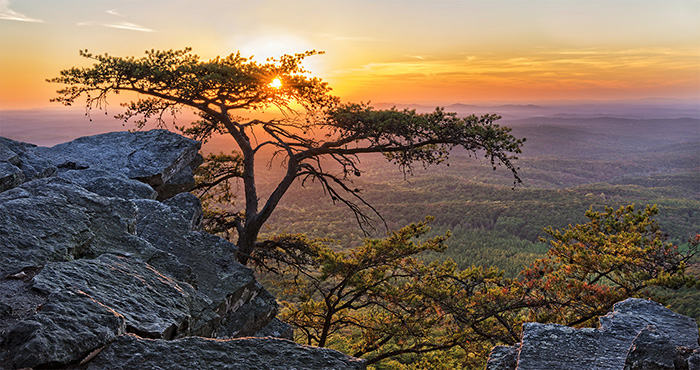 IRIS stories Alabama Alternative Certification Route IRIS stories Alabama Alternative Certification Route