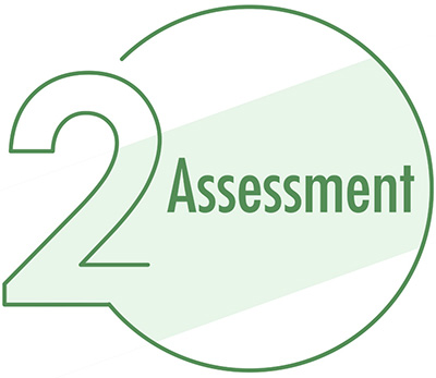 2. Assessment.