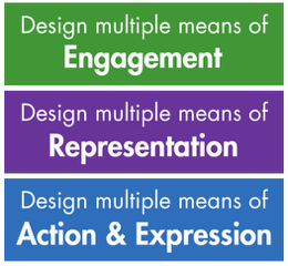 providing multiple means of engagement, representation, and action and expression