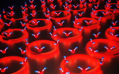 Vanderbilt University