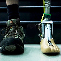 Vanderbilt University