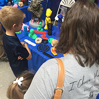 Vanderbilt University