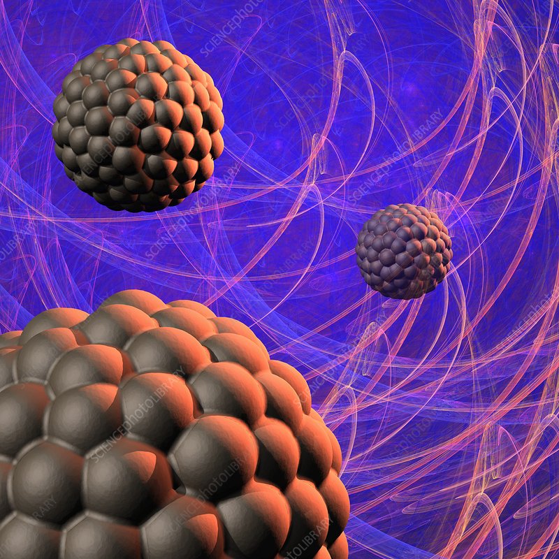 Vanderbilt University