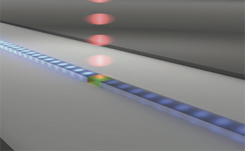 Vanderbilt University