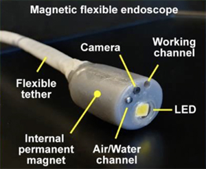 Vanderbilt University