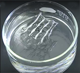 Vanderbilt University