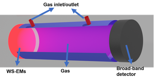 Vanderbilt University