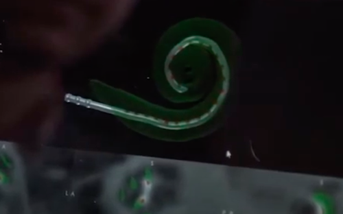 Vanderbilt University