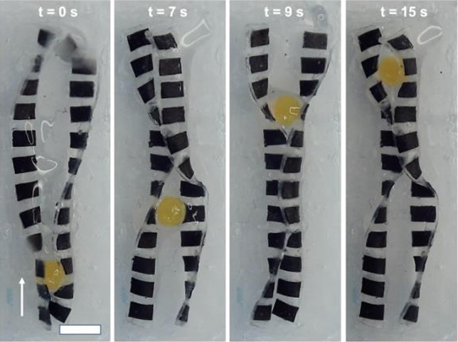 Vanderbilt University