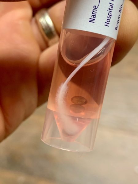 Vanderbilt University