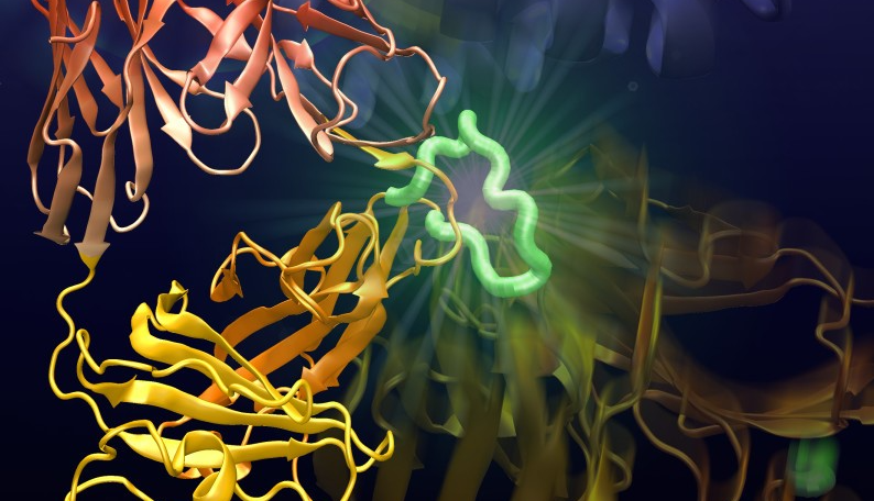 Vanderbilt University