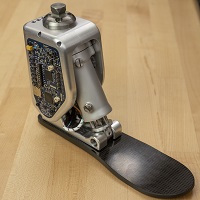 Vanderbilt University