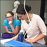 Vanderbilt University