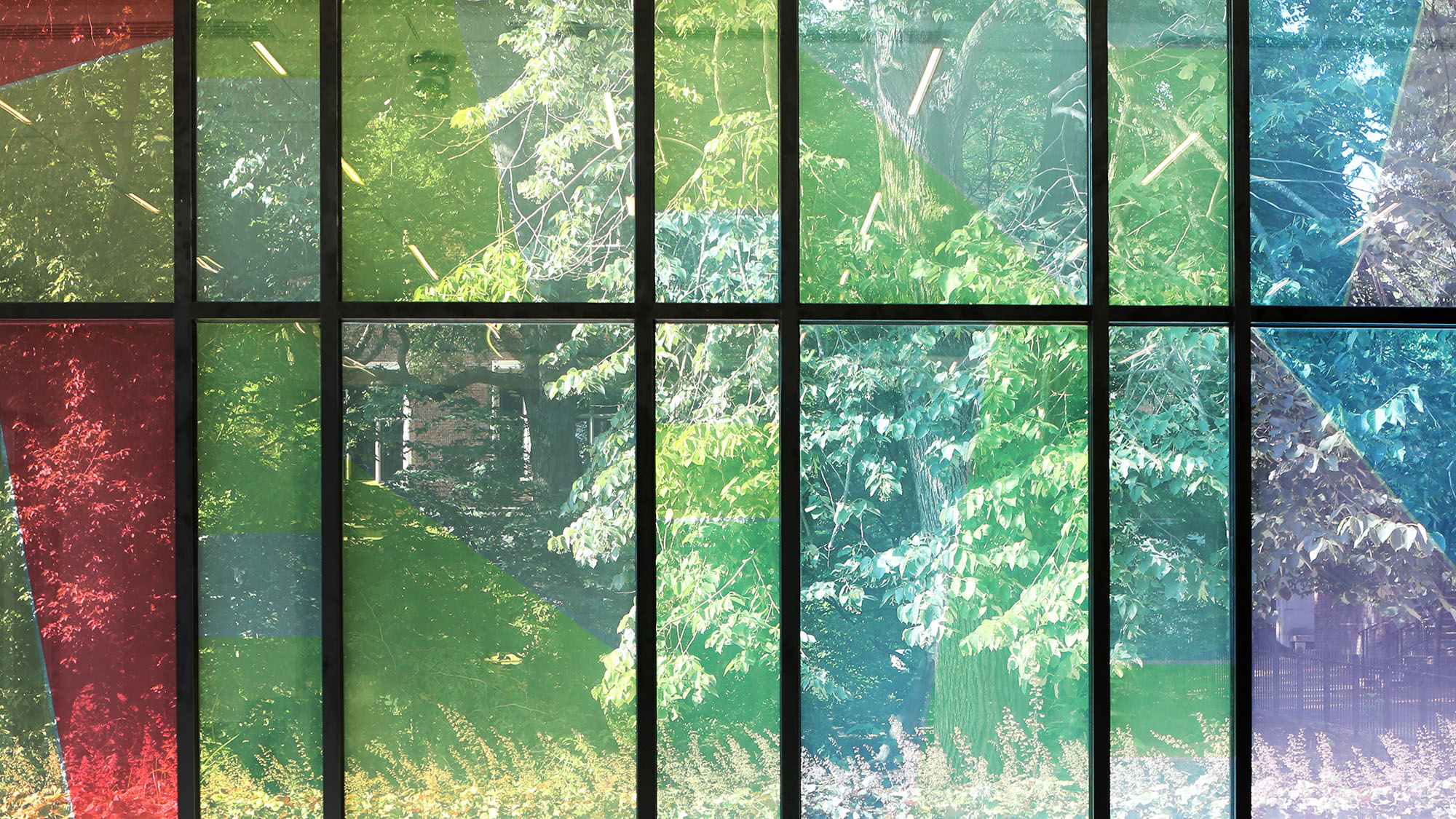 Glass window at the Divinity School