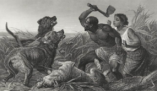 Vanderbilt University