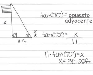 el dibujo a continuación creado por Brody