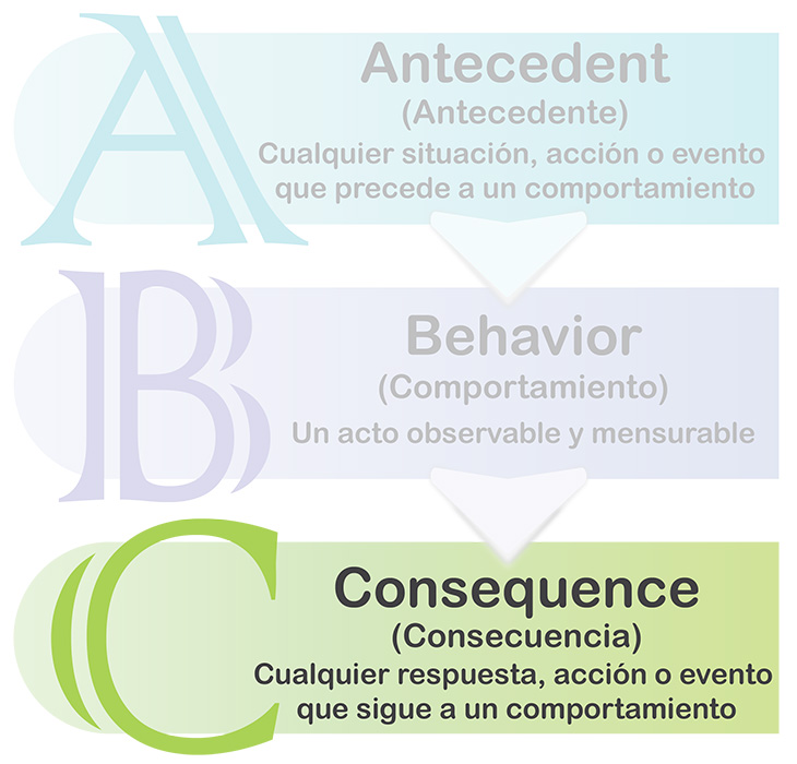 El modelo a b c con consecuencia resaltada.