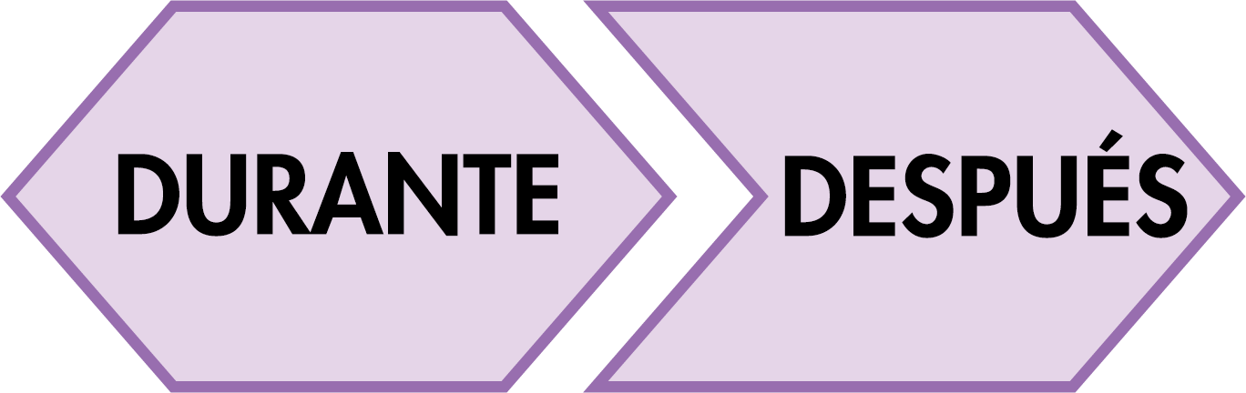 Parte del gráfico: Durante y después