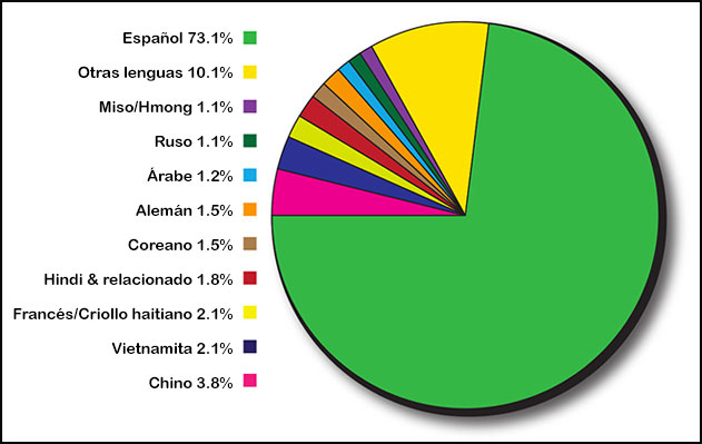 pie chart of language diversity