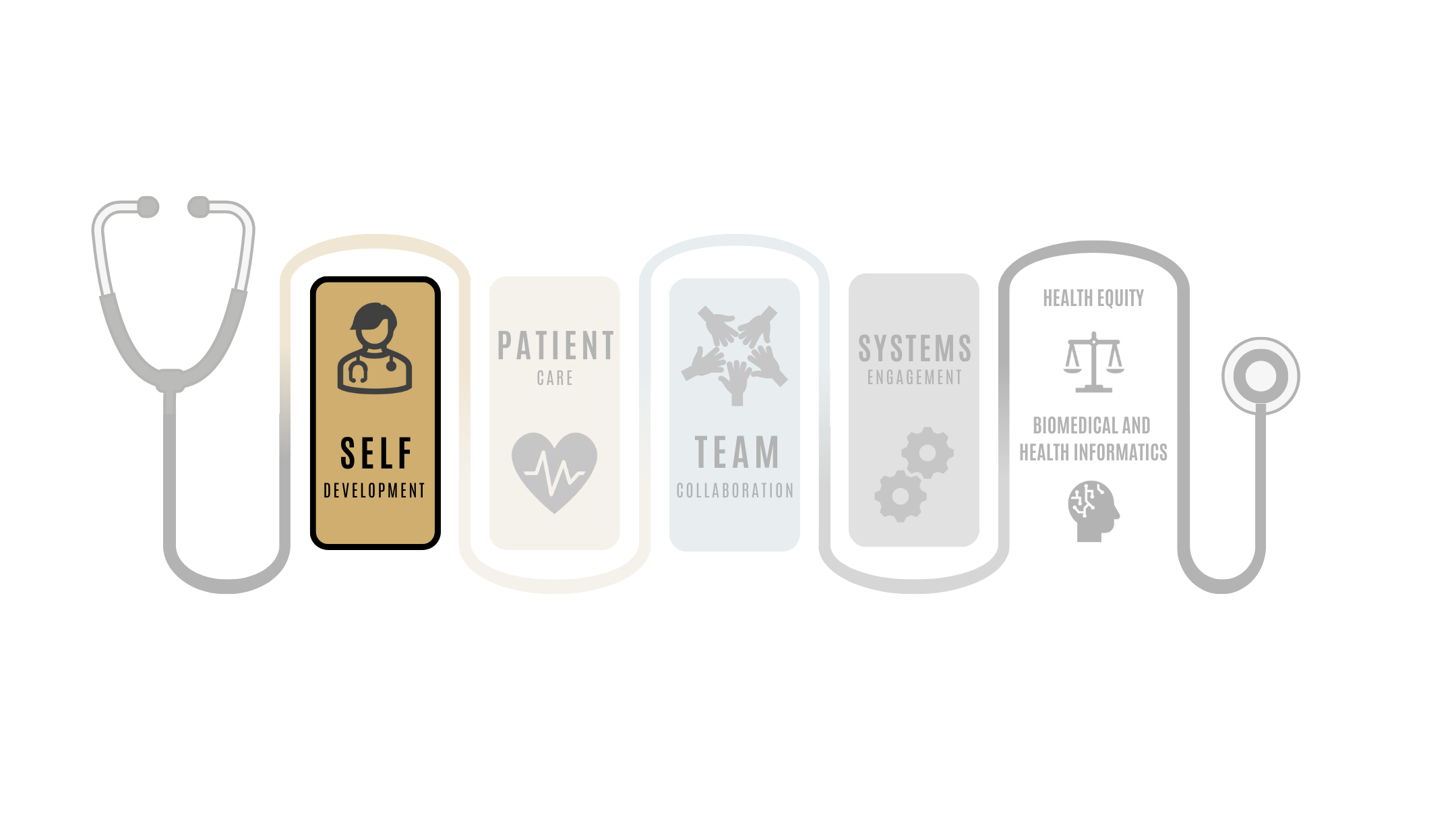 A stethoscope graphic outlines the phases of a medical school curriculum