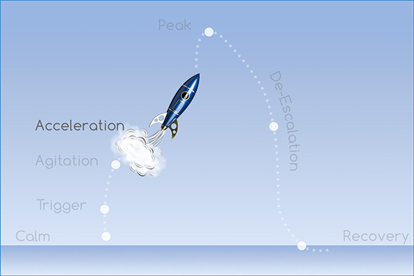 Acting-Out Cycle: Calm, Trigger, Agitation, Acceleration, Peak, De-Escalation, and Recovery Phases.