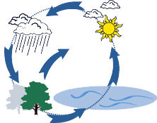 atmospheric rain cycle