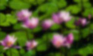 visual acuity - impaired