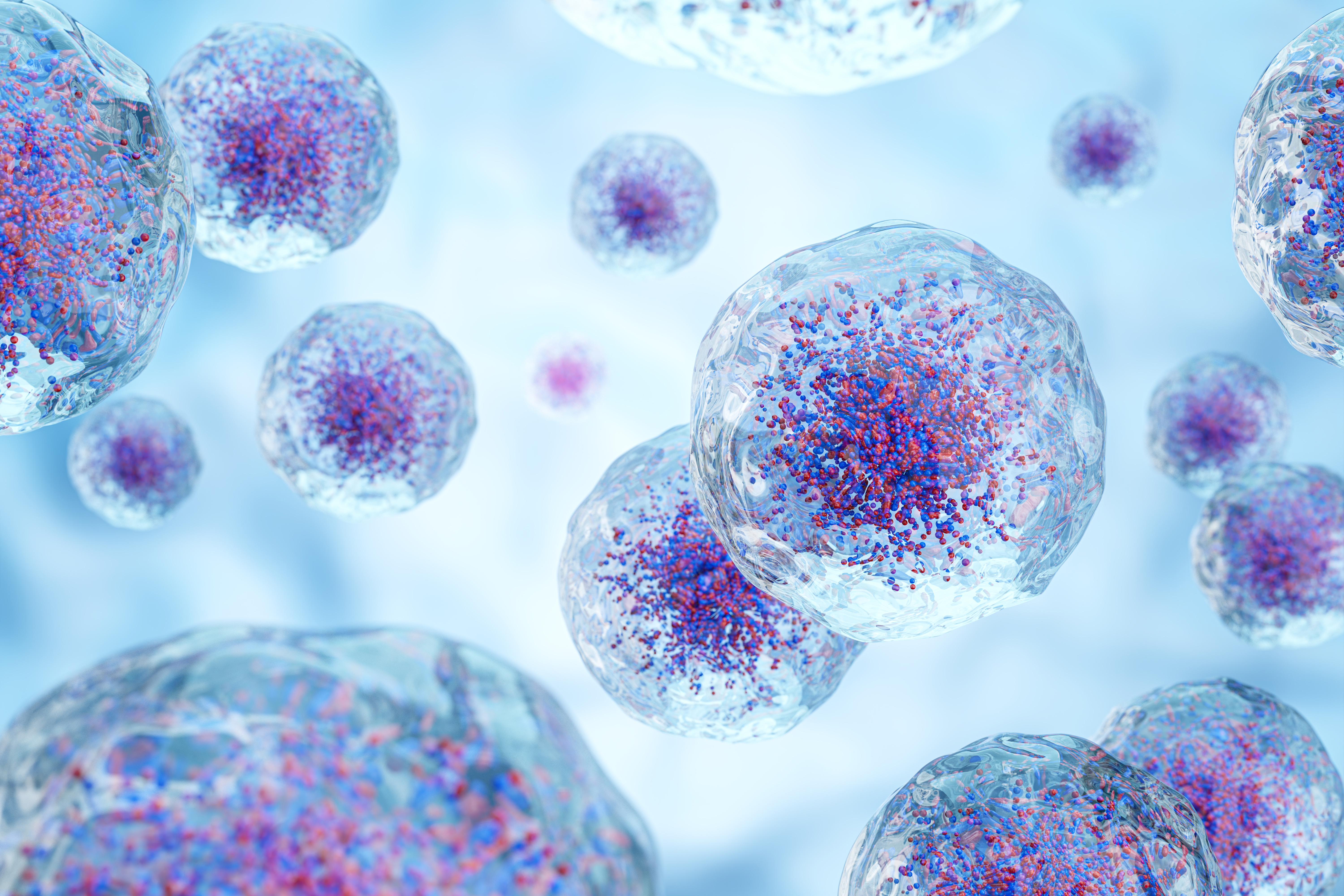 3D graphic showing multiple translucent immune cells with their granules in purple. The background is light blue, and everything feels 