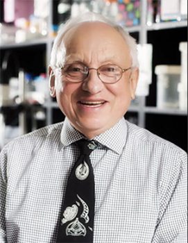 20170111100103-dostersm-16936-0