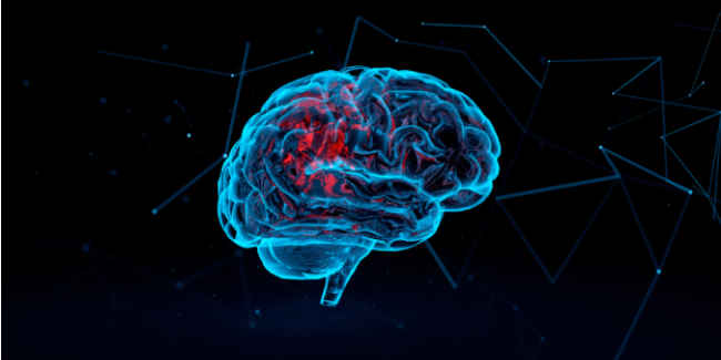 Vanderbilt University