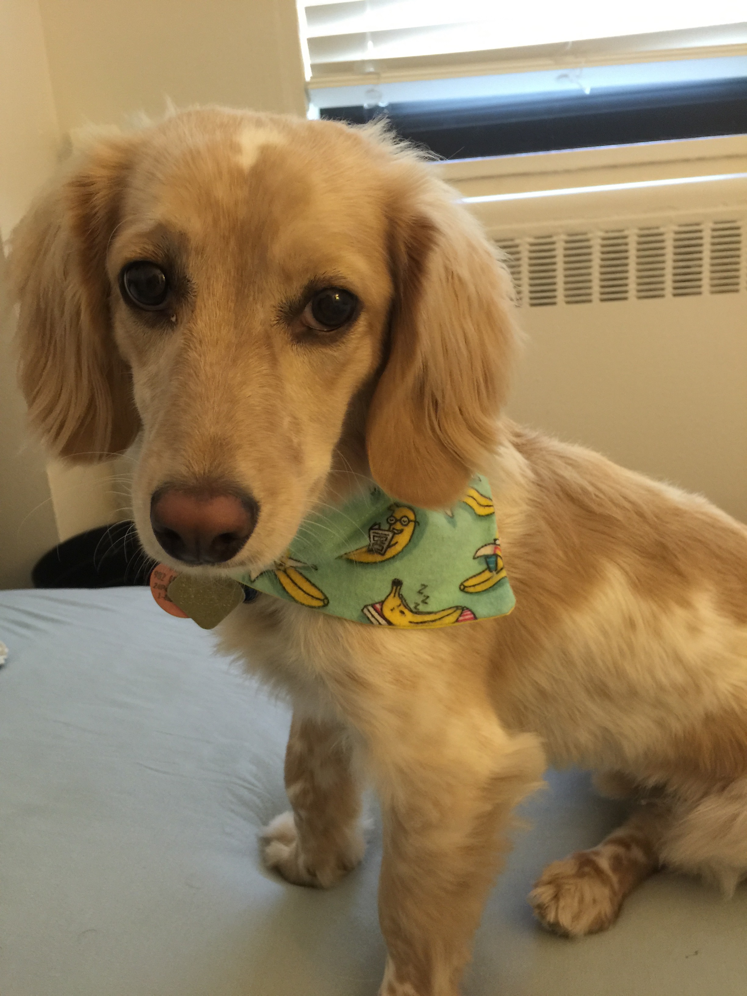 Allie Lake_Reuben.jpg