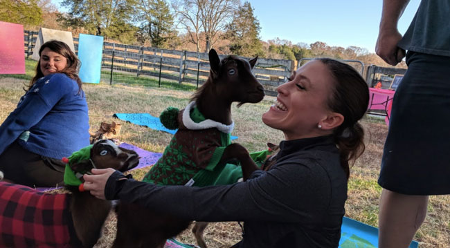 GoatYoga3.jpg