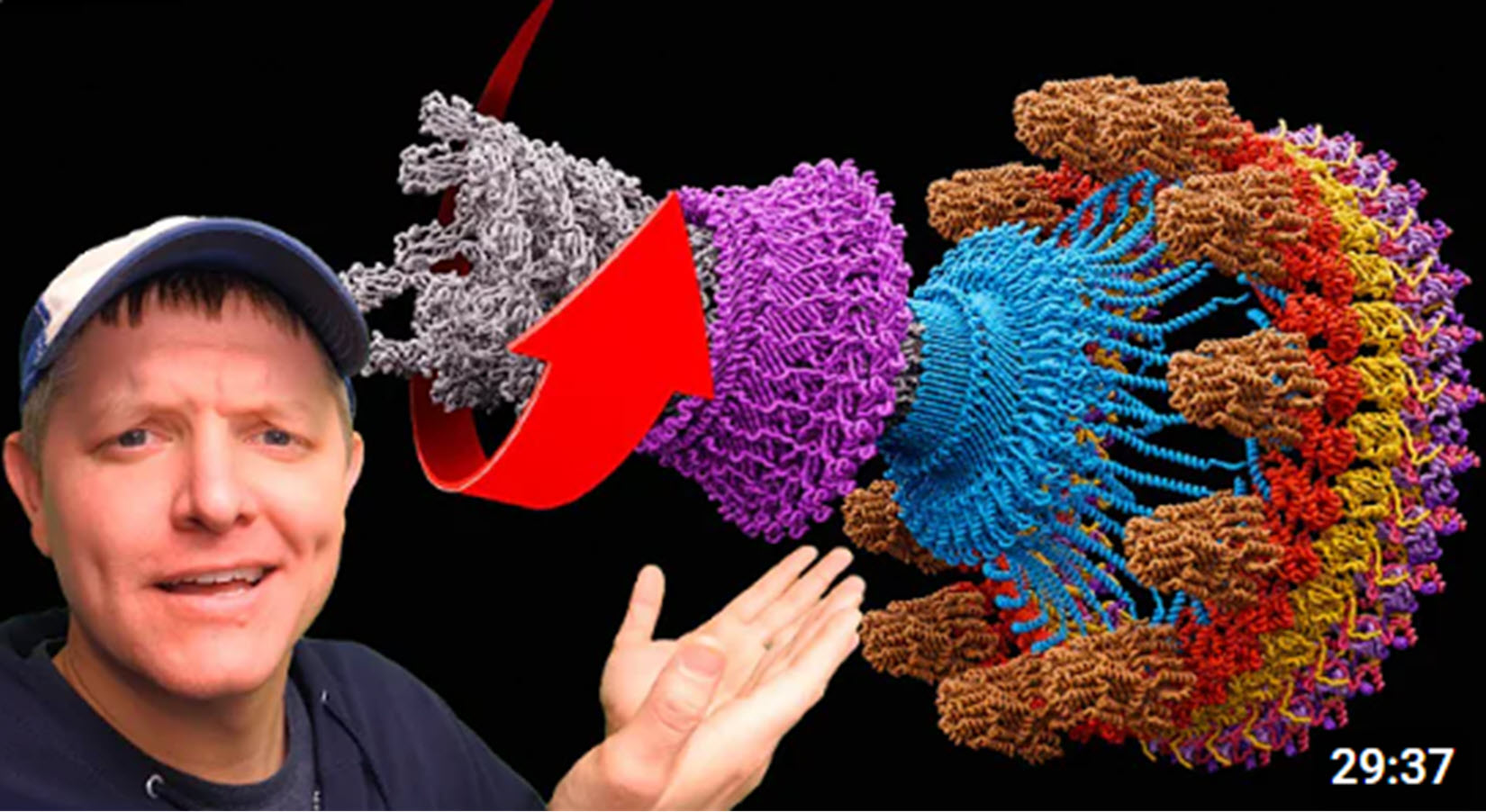 Cover image of Episode 300 of Smarter Every Day on YouTube, showing Destin gesturing toward a bacterial flagellum in the background.