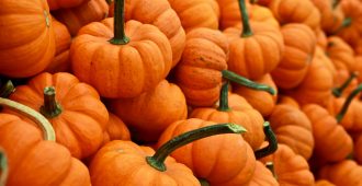 pumpkins