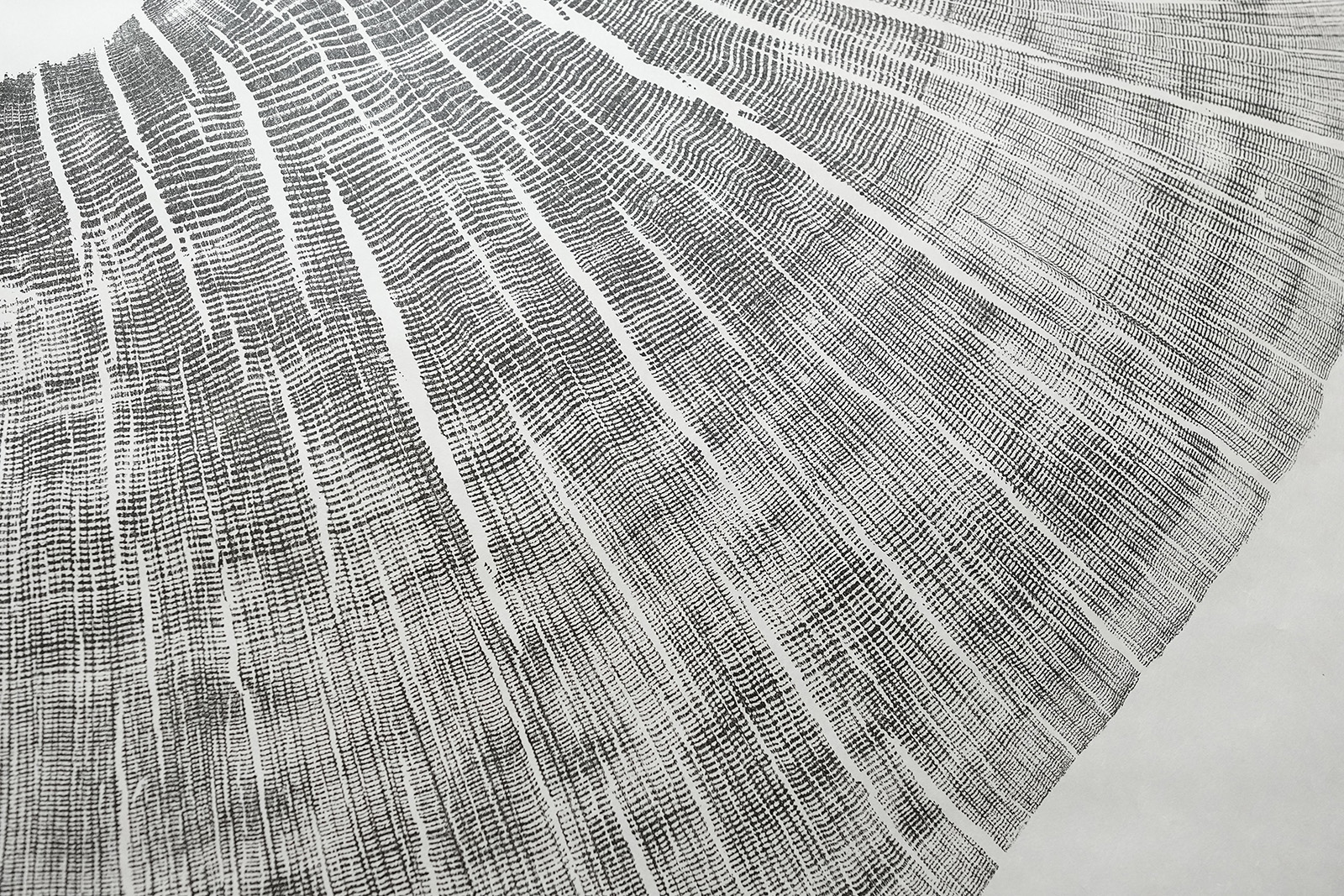 A print made from the Bicentennial Oak that fell on campus in 2022