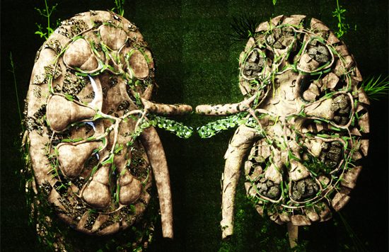 Vanderbilt University