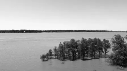 Present day view of the Davis Bend, site of Palmyra plantation, formerly owned by slaveowner and Mississippi governor John A. Quitman. Today Davis Bend is cut off off from the mainland and hardly accessible. Nature has reclaimed much of the land claiming the graves the enslaved who gained ownership of the island after the civil war ended. (Photo by Vesna Pavlović)
