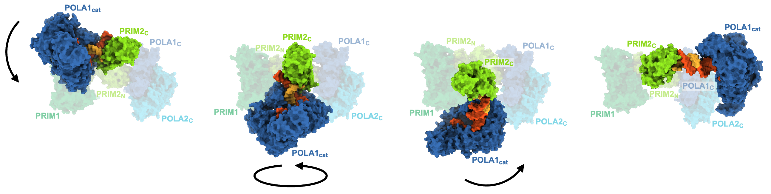 Vanderbilt University