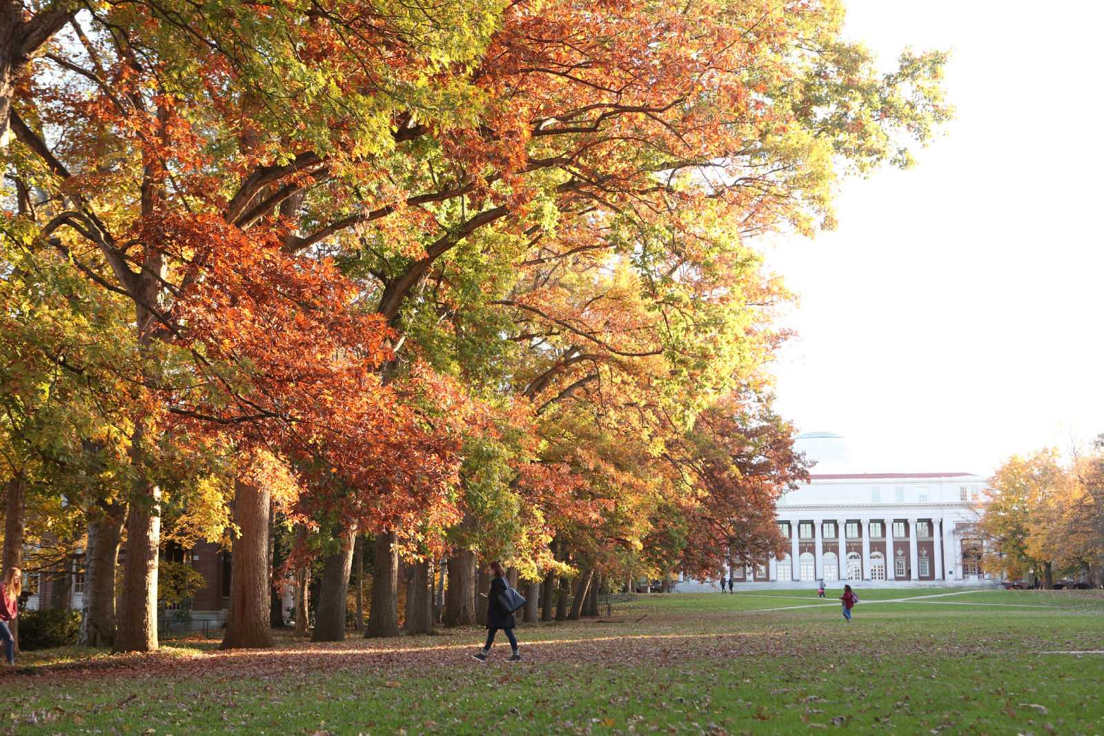 Vanderbilt University