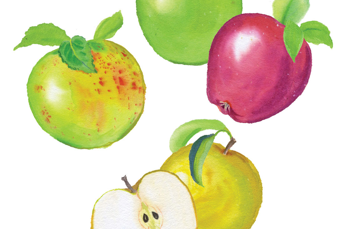 Vanderbilt University