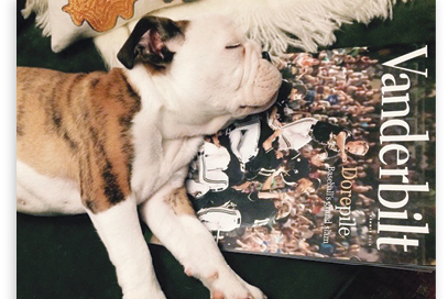 Vanderbilt University