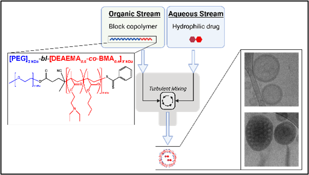 Vanderbilt University