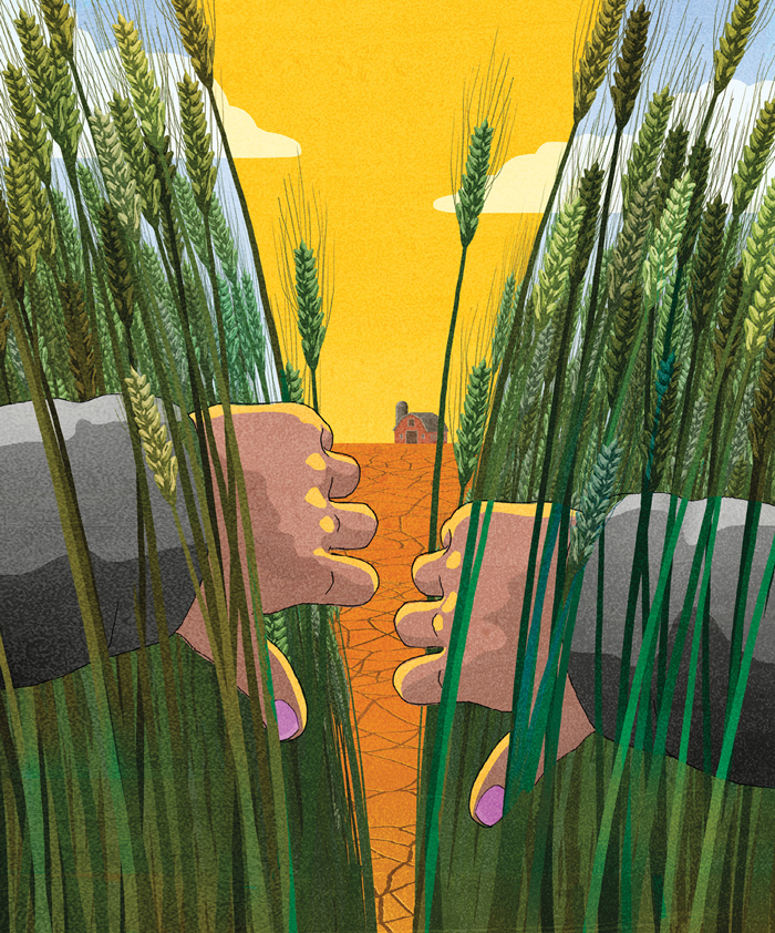 illustration of two hands pulling back green crops to reveal a dry barren wasteland