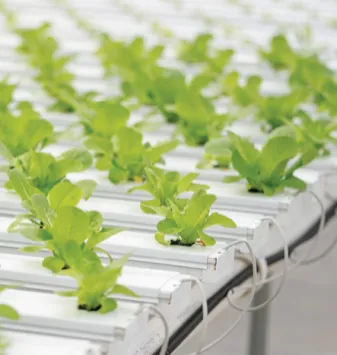 John Russell/Vanderbilt University