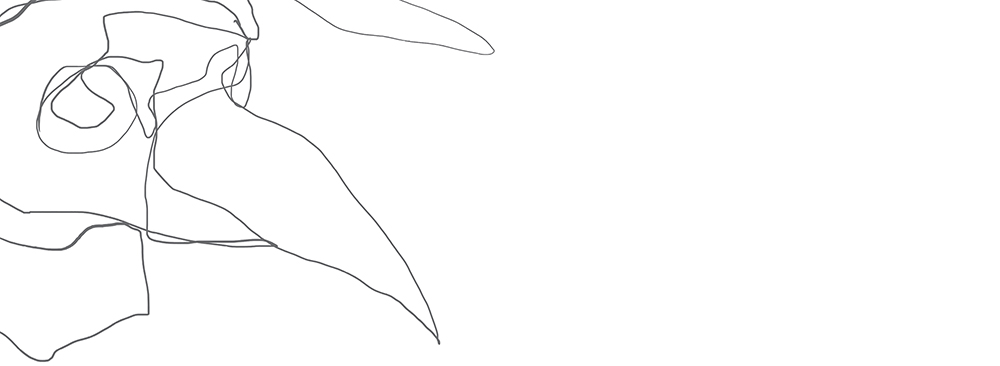 illustration of a medieval plague doctor in a bird mask